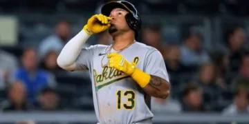 Excelente desempeño del «Caballo de Montería»